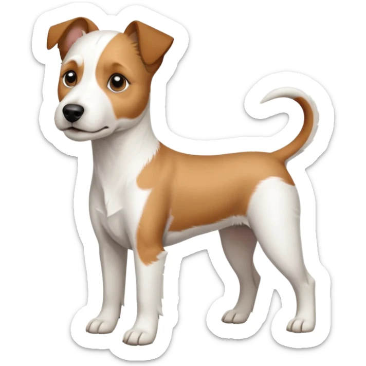 a full body white parson russell looking dog the size of a kelpie with light brown ears and a light brown patch on one eye and a large snout sticker