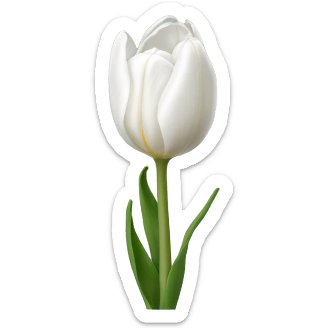 white tulip sticker