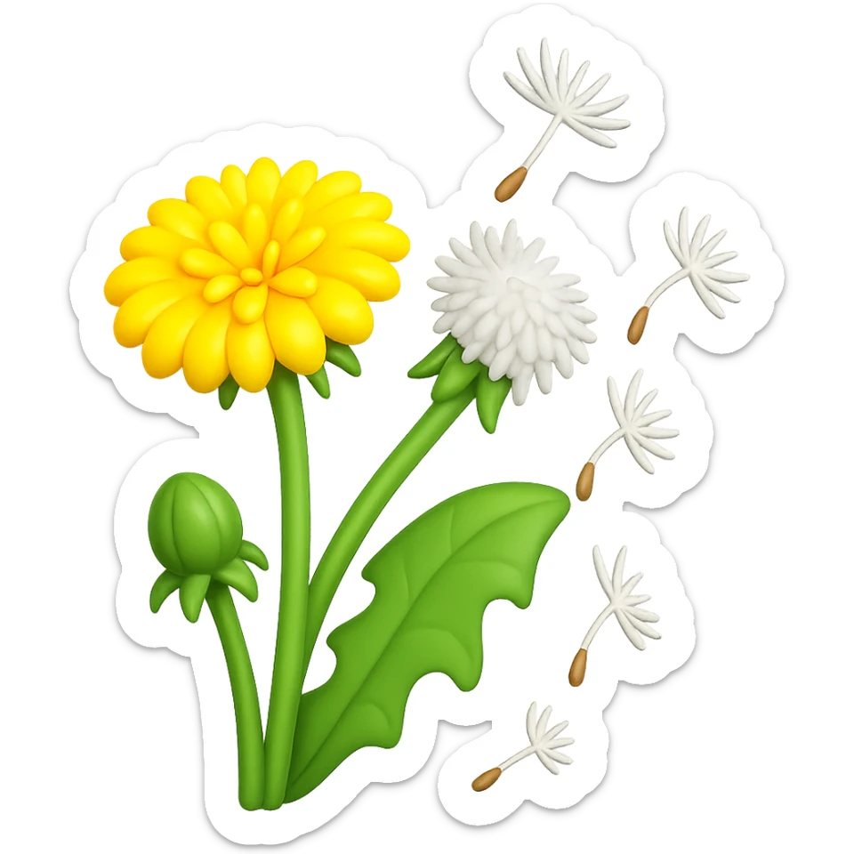 Create a square 3D illustration of a dandelion with fluffy seeds flying in the wind, in the style of iOS Apple emoji. The dandelion should have a volumetric yellow flower, green leaf, and fluffy seeds, all on a transparent background. The style should mimic the detailed, smooth, and vibrant look of Apple emojis. sticker