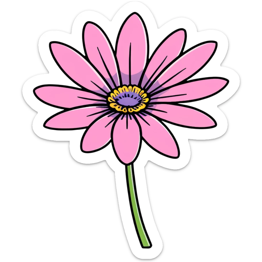pink African daisy flower, Osteospermum, single flower with pink petals sticker