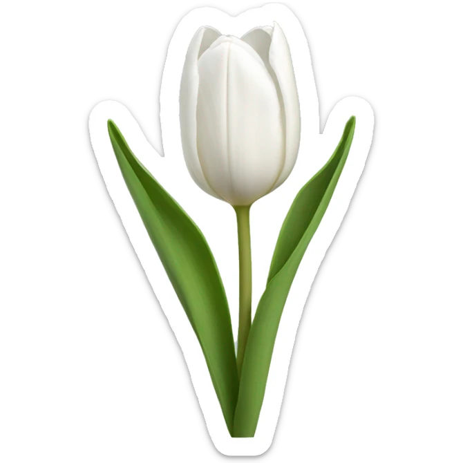 white tulips  sticker