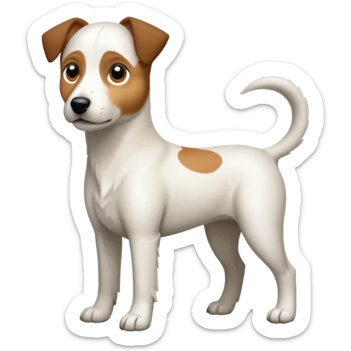a full body large white parson russell looking dog the size of a kelpie with light brown flapped down ears and a light brown patch on one eye and a large snout sticker