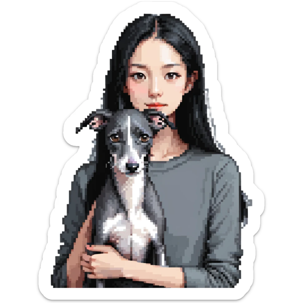 Slim Chinese girl with long black hair holding solid grey Italian greyhound with no white markings on nose sticker