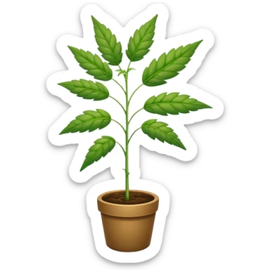 Weed plant sticker