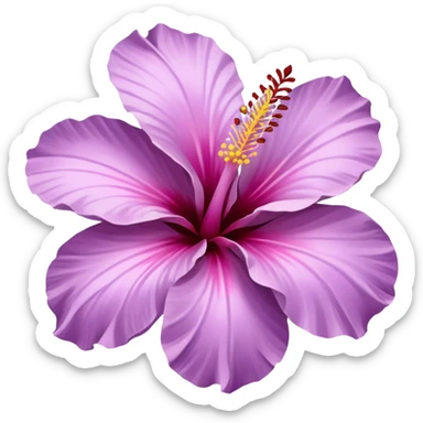 single lilac hibiscus blossom facing left in png form  sticker