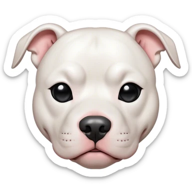White pitbull with black eye sticker