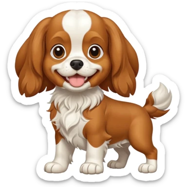 Cavalier King Charles Spaniel dog Preliminary Acceptance Inspection sticker