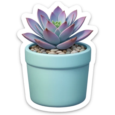 A pastel blue ceramic pot, cylindrical in shape, with a shallow rim, containing a Graptopetalum succulent plant. sticker