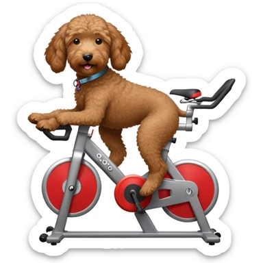 brown goldendoodle riding a spin bike sticker
