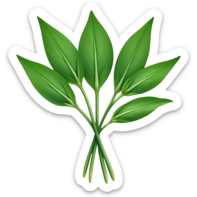 single sprig or small cluster of wild garlic leaves with smooth, elongated, lance-shaped blades, rich vibrant green color, soft central veins, fresh slightly glossy surface, gently arching from slender stems, no roots, no soil, no extras, apple emoji style, soft lighting, subtle shadows, emoji scale sticker