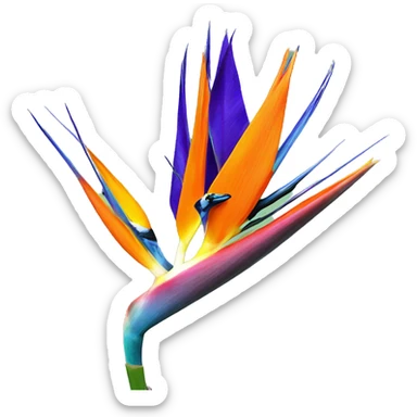 Bird of paradise flower sticker