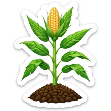 Cây bắp mọc trên đất sticker
