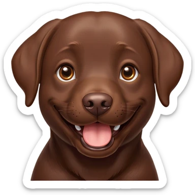 Chocolate Labrador laughs sticker