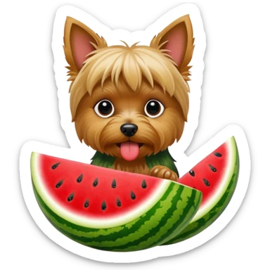Yorkie eating watermelon  sticker