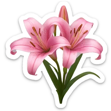 Pink lilies sticker