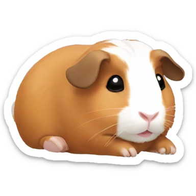 Guineapig laying down  sticker