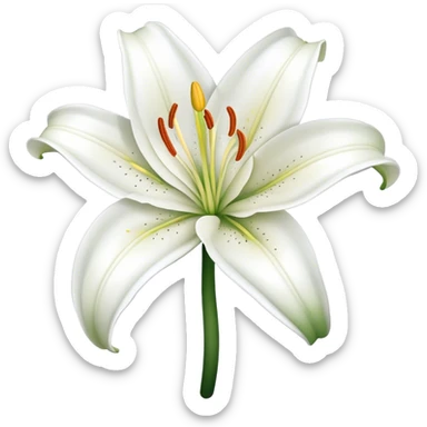 Flower lilies sticker