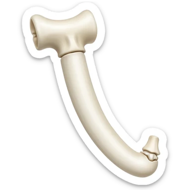 singular long anatomic bone sticker