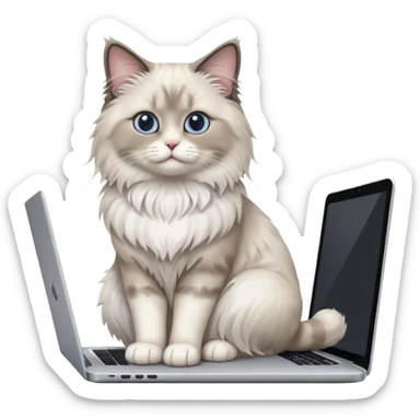 Cute ragdoll cat on a laptop. Should sit on top of the laptop, cat is way bigger than the laptop. Could walk on the laptop or sit sticker