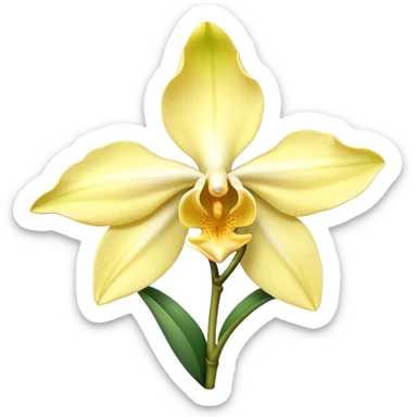 vanilla flower, orchid, full bloom, pale yellow to creamy white petals, trumpet-shaped center, gentle curvature, fine petal texture, optional green stem or vanilla pod, no background, no leaves, no decorative elements, no faces, clean 3D, soft shadows, transparent background, emoji scale sticker