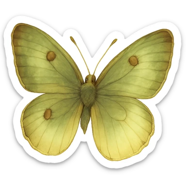 realistic whimsical green, brown and cream butterfly, natural colors, soft, fairy-like atmosphere, no background, square size sticker