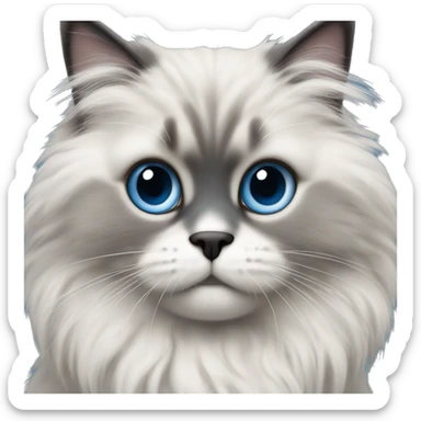 Light grey fluffy ragdoll kat with grey face and black nose with a white chin and blue eyes sticker