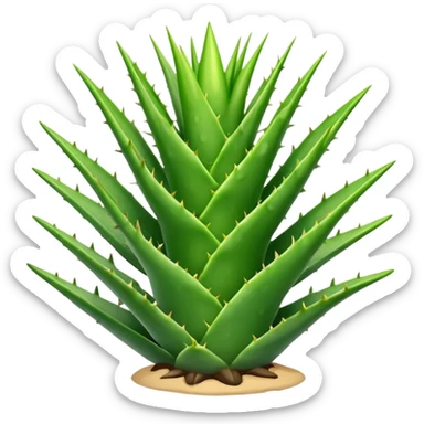 Aloe vera sticker