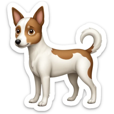 a full body large white floppy eared parson russell looking dog the size of a kelpie with light brown ears and a light brown patch on one eye and a large snout sticker