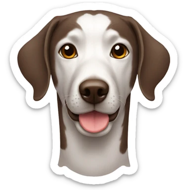 Liver gsp with ticking sticker