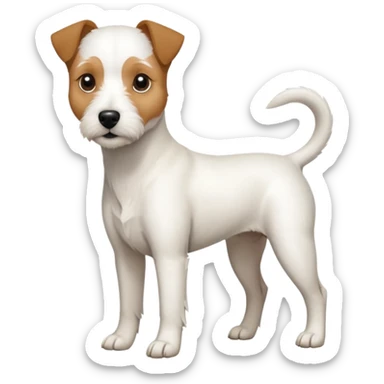 a full body slightly chubby white parson russell terrier looking dog the size of a kelpie with light brown long ears and a light brown patch on one eye and a large snout sticker