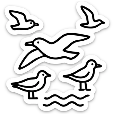 Cartoon coloring book for children. Fly over the sea birds of various species. Black and white line vector illustration. sticker