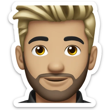 Zayn malik sticker
