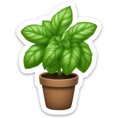 A basil plant in a pot sticker