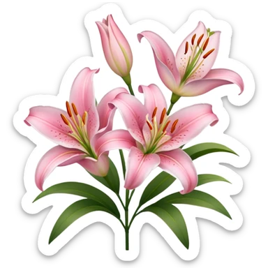 Pink lilies sticker