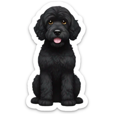 black face Portuguese water dog with white chin sticker