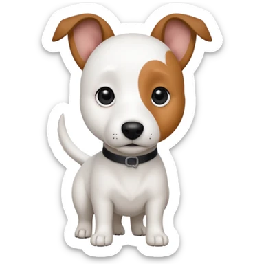 a fully white jack russell the size of a kelpie with floppy ears and a half white face sticker