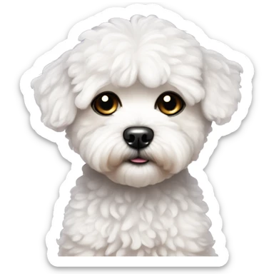 Cute Maltipoo with Sad, Glittery Eyes. sticker