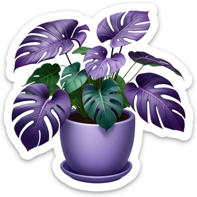 A stunning purple monstera plant with deep violet-green leaves, each leaf elegantly veined with subtle shades of purple, creating an ethereal glow. The plant is flourishing in a beautifully crafted lavender ceramic pot with intricate embossed floral patterns. The background features a softly blurred, moody violet gradient, enhancing the plant’s lush aesthetic. Delicate strands of ivy and tiny lavender blossoms cascade around the pot, adding depth and harmony. Soft, diffused lighting casts a gentle glow, emphasizing the plant’s unique coloration and creating a dreamy, artistic composition. sticker