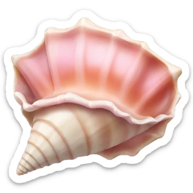 pink conch shell sticker