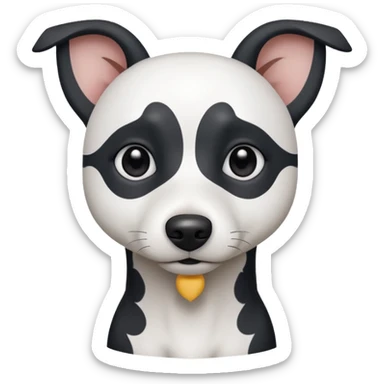 a fully white jack russell the size of a kelpie with a half white face sticker