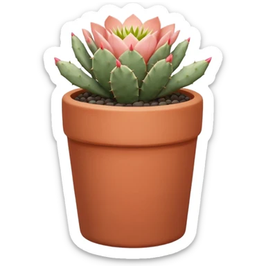 A ceramic pot in a pastel terracotta color, shaped like a cylinder, the pot is tall and contains an Acanthocalycium Glaucum cactus plant. sticker