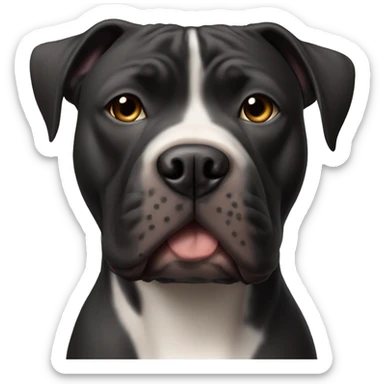 Pitbull black mix with cane corso with little white on chest.  sticker