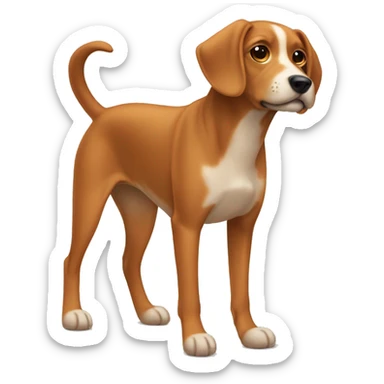 Three legged dog that is medium size with floppy ears and is orange ish brown color sticker
