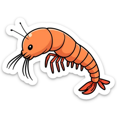 Shrimp  sticker