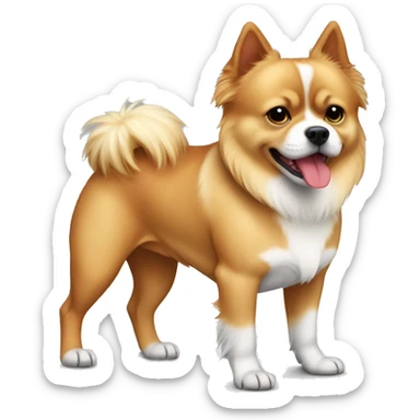 Pitbull mixed Pomeranian full body blonde red and white, short legs long body, long hair  sticker