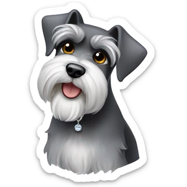 Miniature schnauzer   sticker