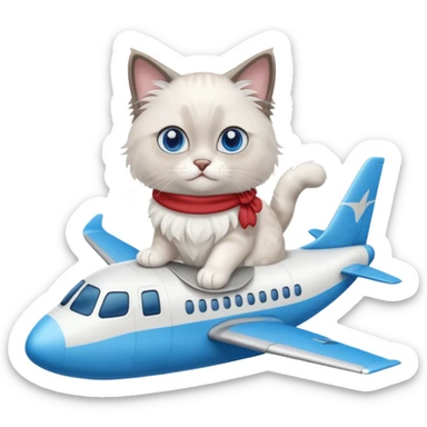 Cute ragdoll cat on an airplane. Should sit on top of the plane, cat is way bigger than airplane sticker
