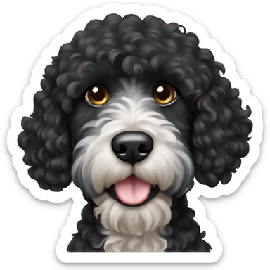 black curly haired portuguese water dog  sticker