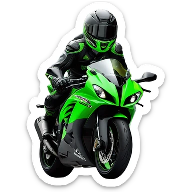  Piloto e sua Kawasaki Zx10R preta 2018 sticker