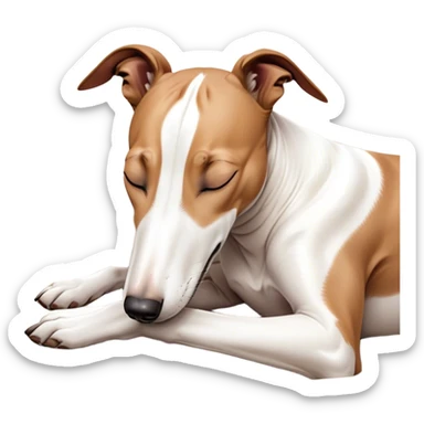 Meme-Worthy Cute Sleeping White and Brown Greyhound Portrait Emoji, Head resting peacefully with a contented smile, showcasing a lean, graceful build and a luxuriously smooth Fur of white with brown accents, eyes shut in a serene nap, Simplified yet hilariously adorable features, highly detailed, glowing with a soft, drowsy light, high shine, relaxed and utterly lovable, stylized with an air of playful laziness, bright and heartwarming, soft glowing outline, capturing the essence of a comically sleepy racer, so meme-worthy it feels like it could instantly become the next viral sensation of adorable slumber! sticker